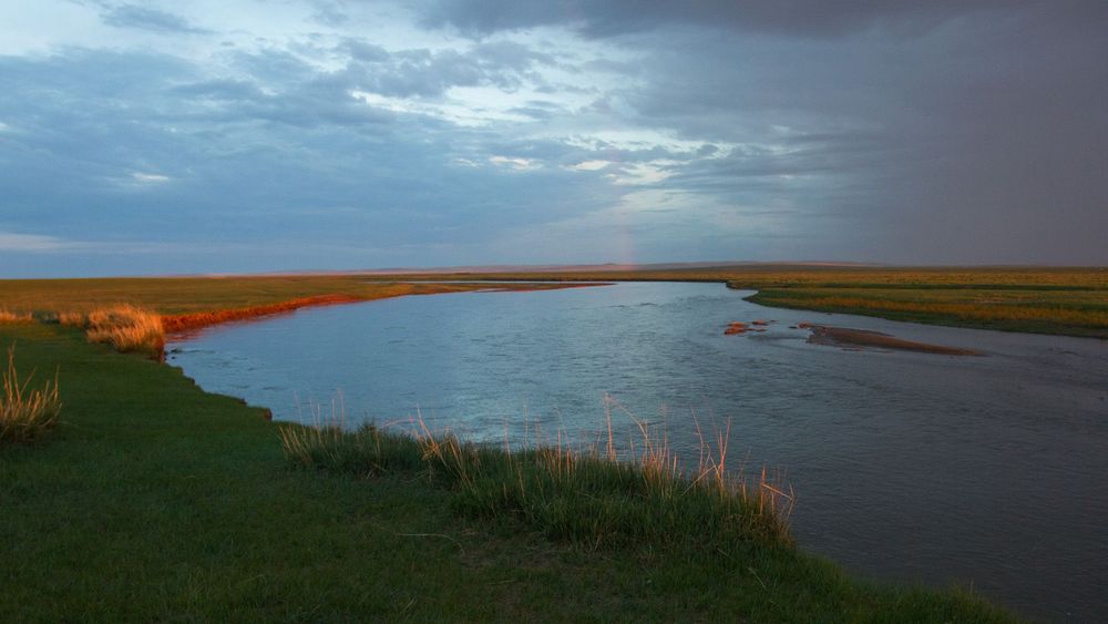 Amur –             Asiens Amazonas