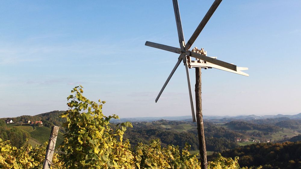 Eingeschenkt Weinland Österreich