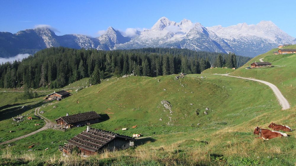 Sensationserfolg für Land der grünen Grenzen