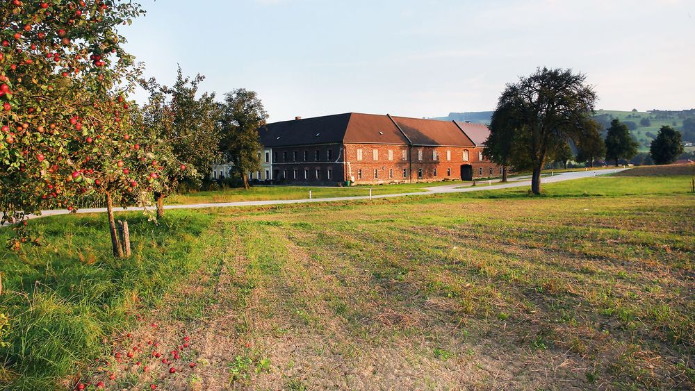 Eingeschenkt Mostland Österreich
