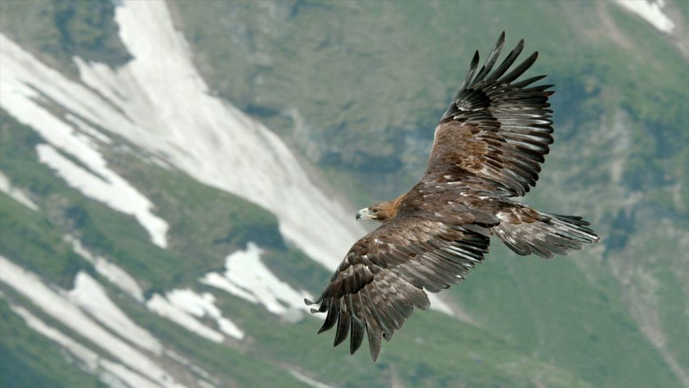 Rekordauftakt für Naturerbe Österreich